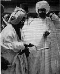 serigne fallou mbacke 